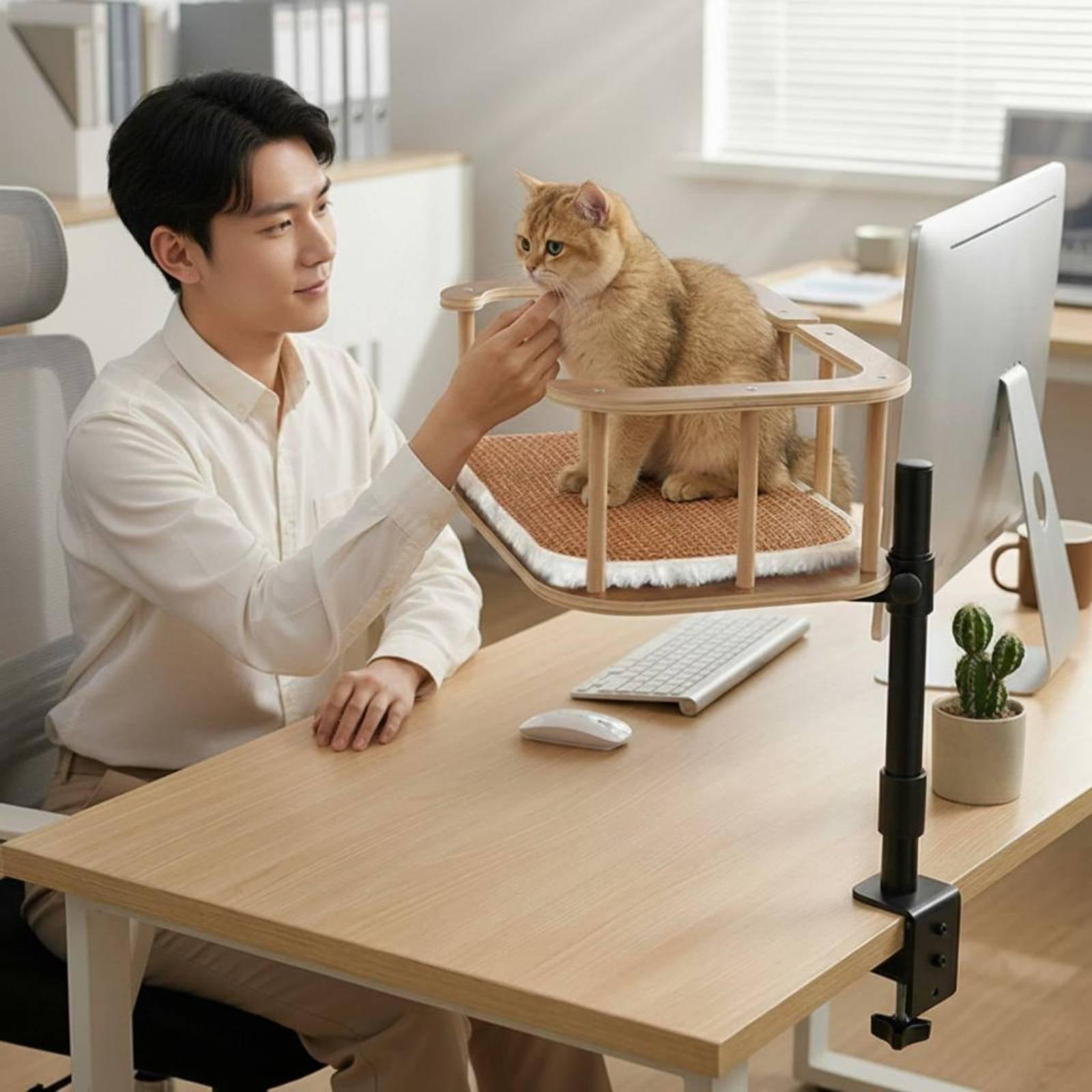 Desk Setup Requirements - Feline Bureaubedklem - Geen gereedschap nodig